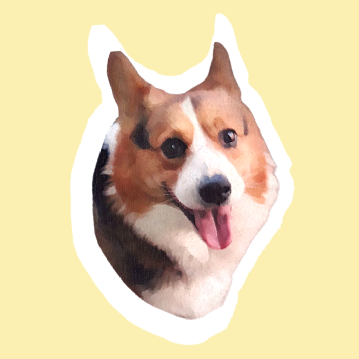 K2Mount logo (replace)